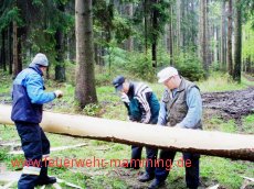 Maibaum holen