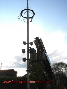 Maibaum-Aufstellen